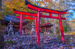 高山２