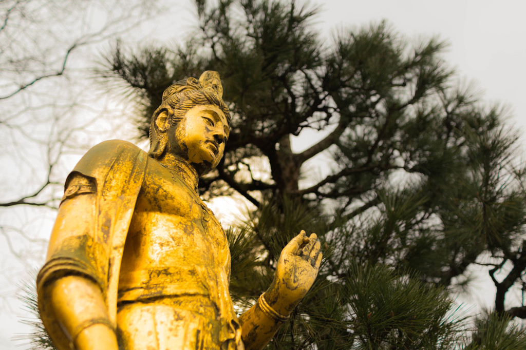 朝日山公園１
