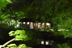 古城公園２