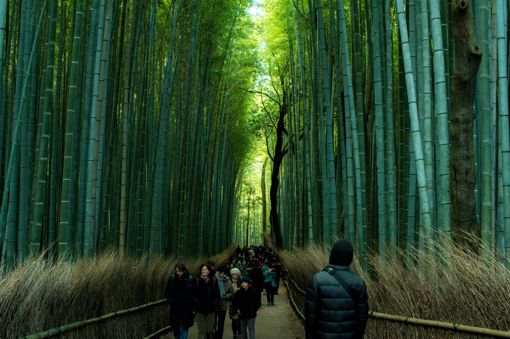 京都２０
