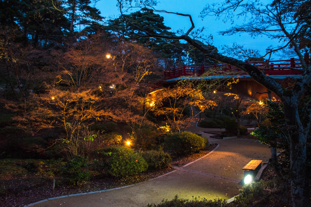 弥彦公園5