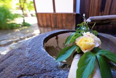 水と花