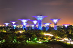 gardens by the bay
