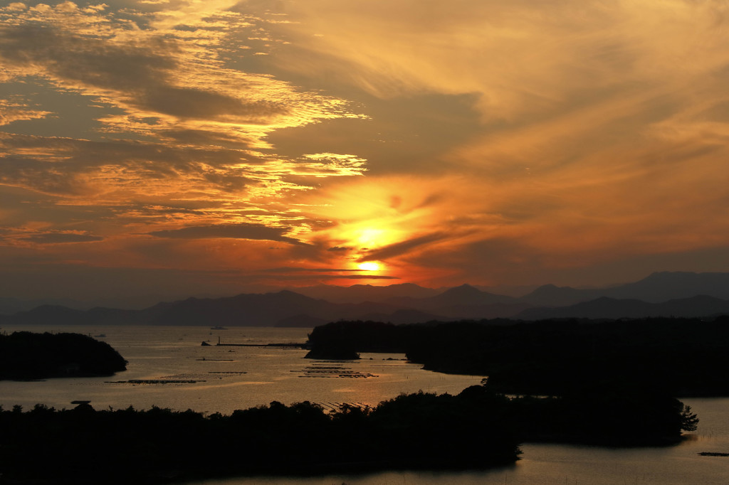 バケツで流したように