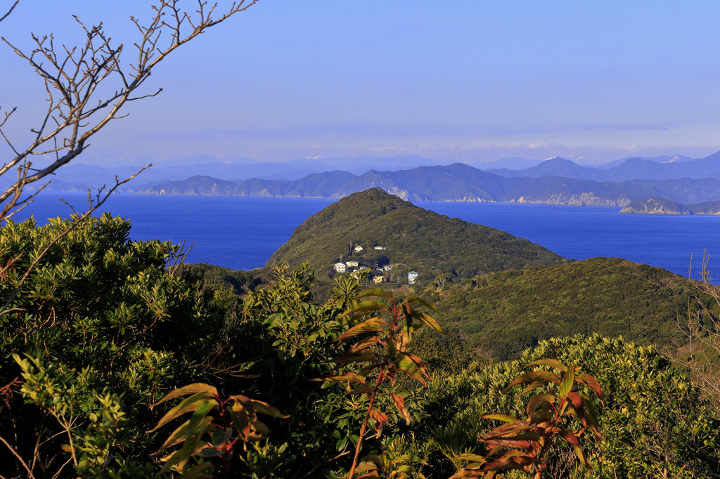 遠く大台ヶ原を望む