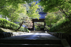 初秋の山門