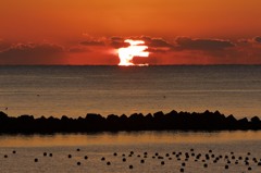 ダルマ朝日の前浜