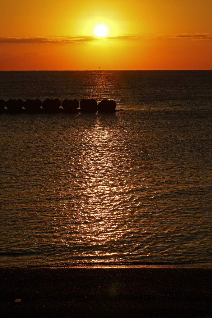 朝の光を浴びて