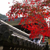 古刹の紅葉