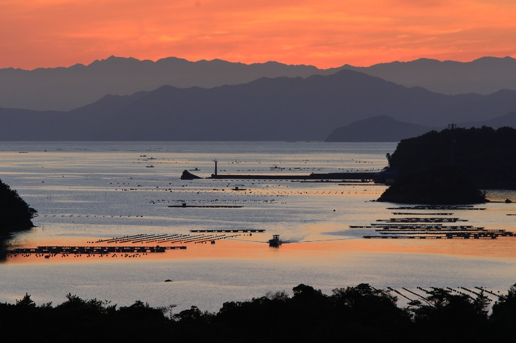 幸せの予感みたいに２