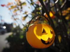 ハロウィン♪