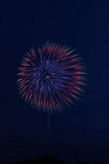 初花火