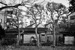 2023-03-07_0012