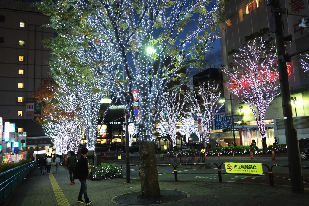 イルミ・大井町①