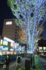 イルミ・大井町②