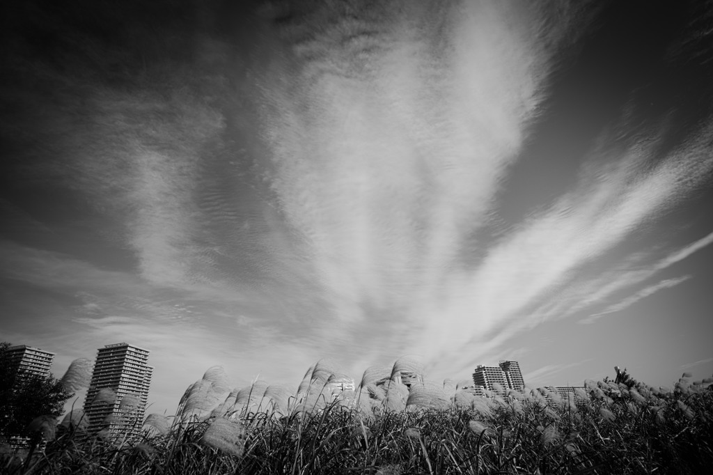 秋空