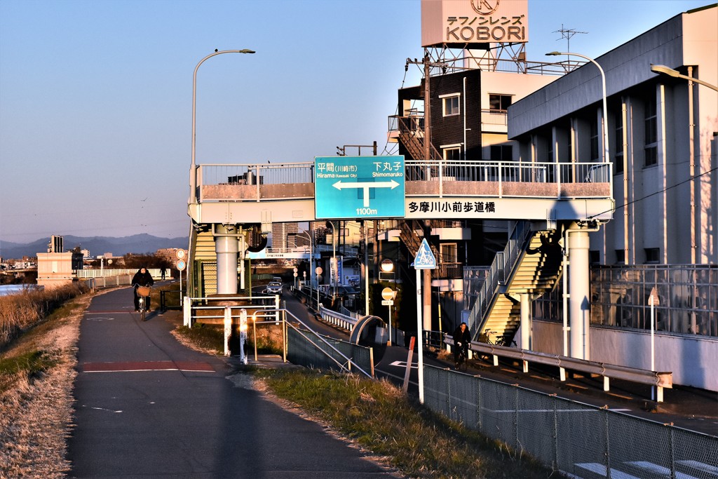 朝陽を浴びて