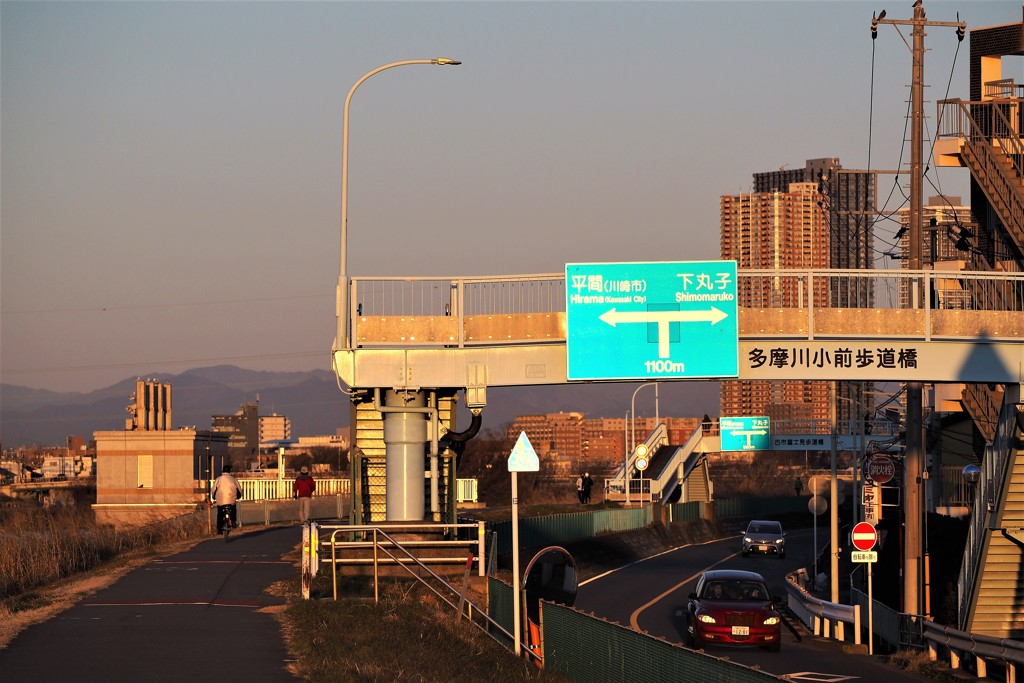 朝の多摩川土手①