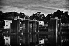 2024-12-04_6564