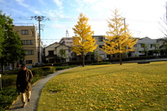 ある日の通勤路④