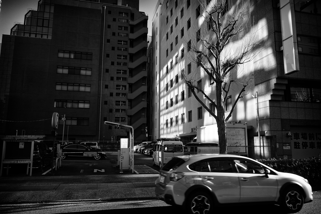新横スナップ④