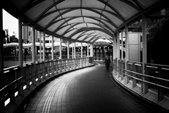 2025-09-06_5729