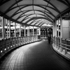 2025-09-06_5729