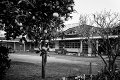 2023-03-07_0015
