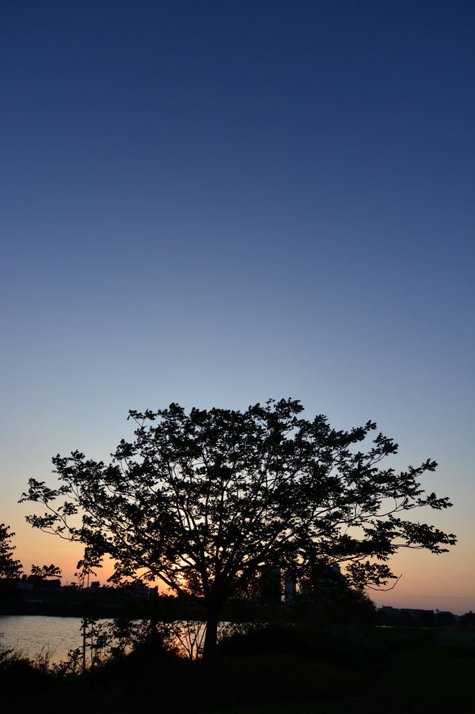 夕景①