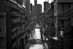 2025-08-23_5441