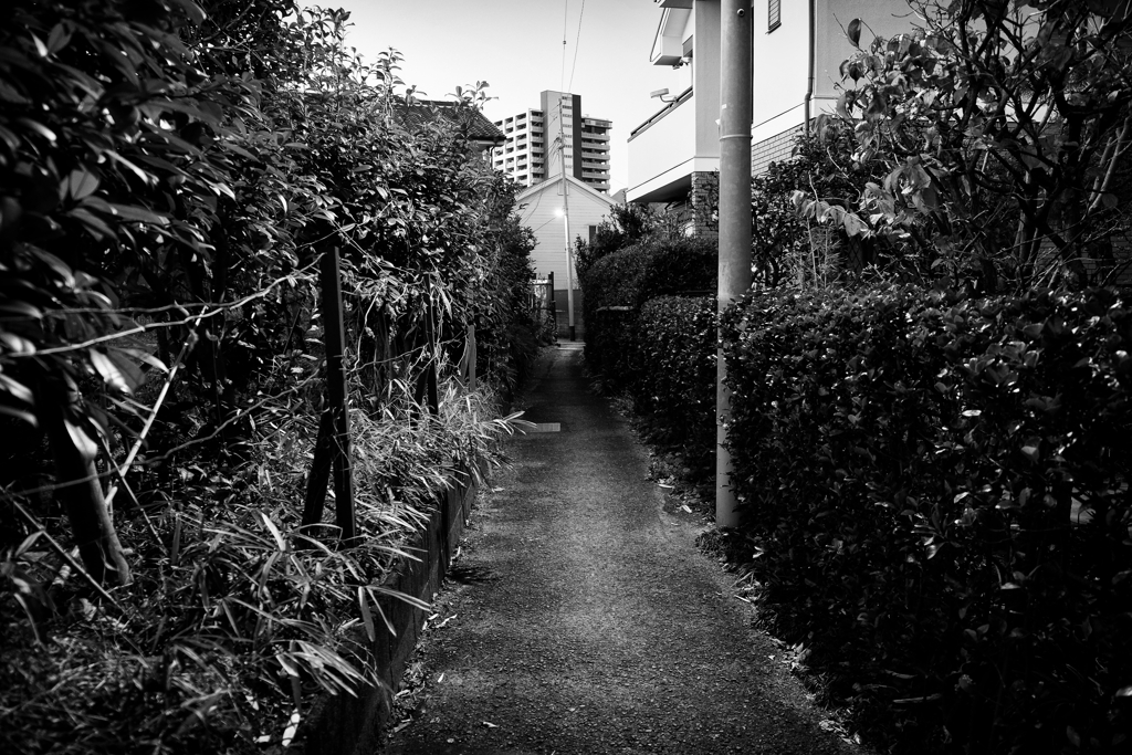 2022-01-16_0022