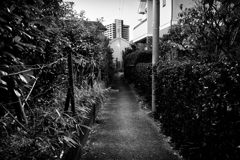 2022-01-16_0022