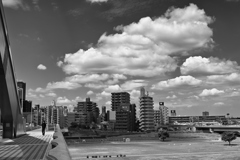 2025-07-10_4389