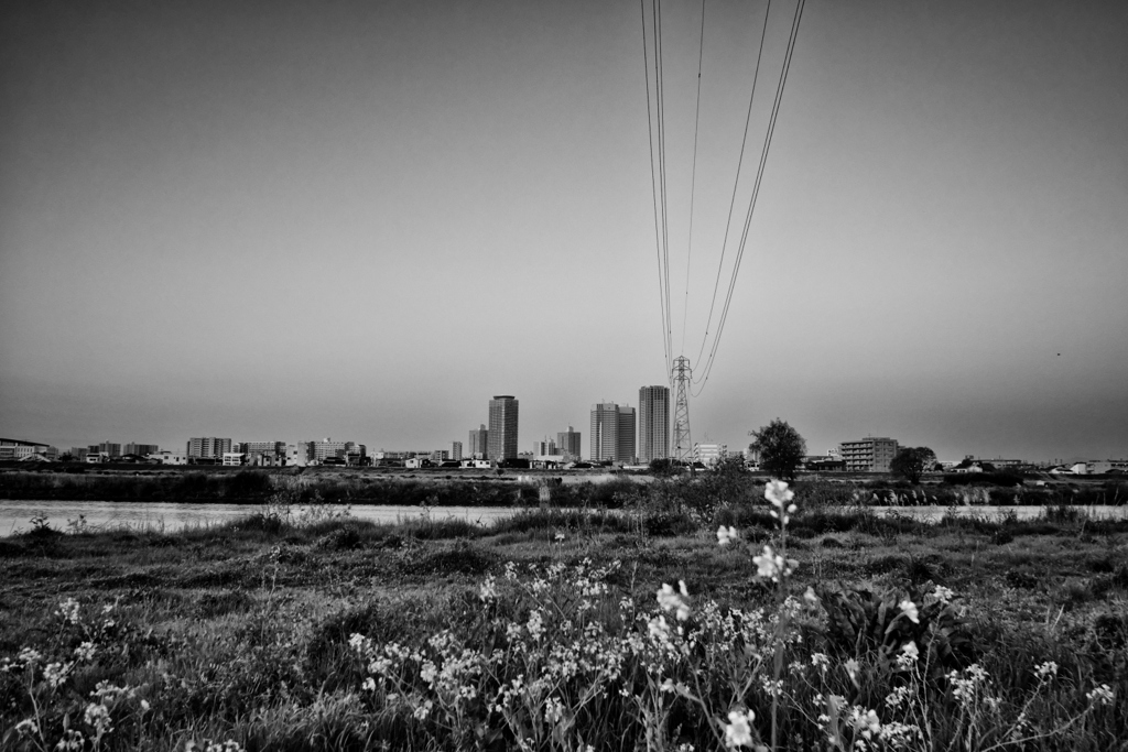 2023-04-04_0013