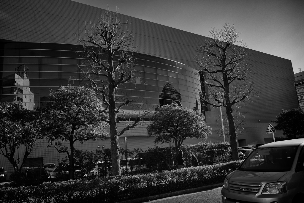 新横スナップ①