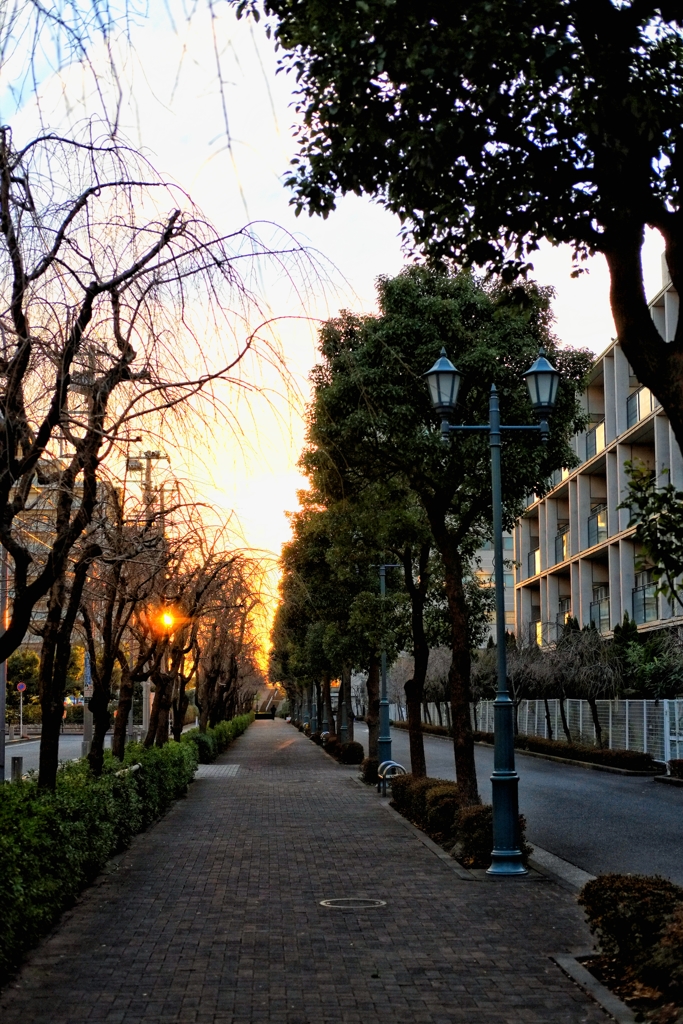 散歩道①