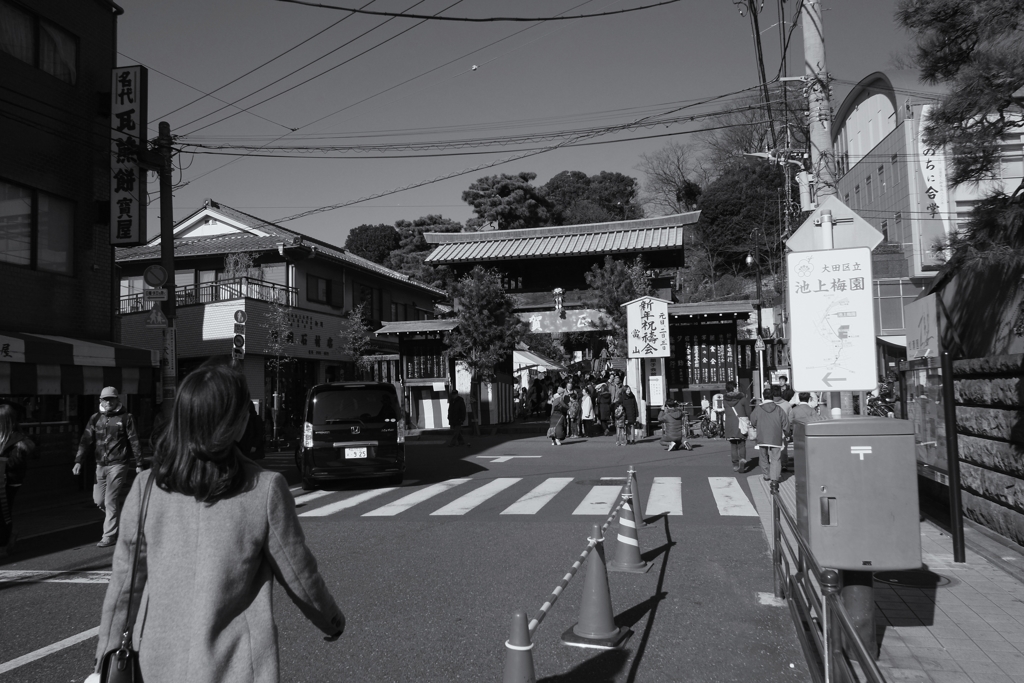 初詣①