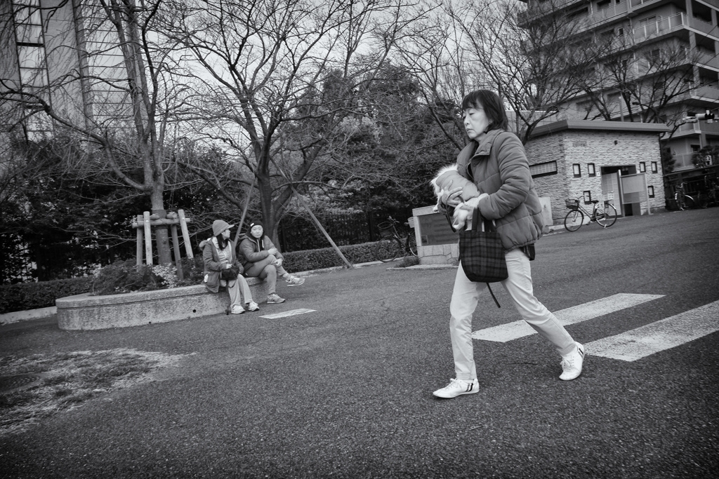 夕方の土手にて③