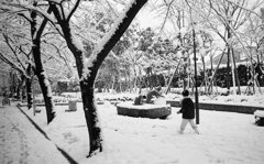 雪の日の思い出