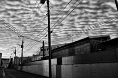 2025-09-23_6077