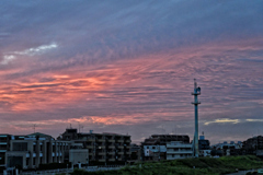 2023-10-08_1262