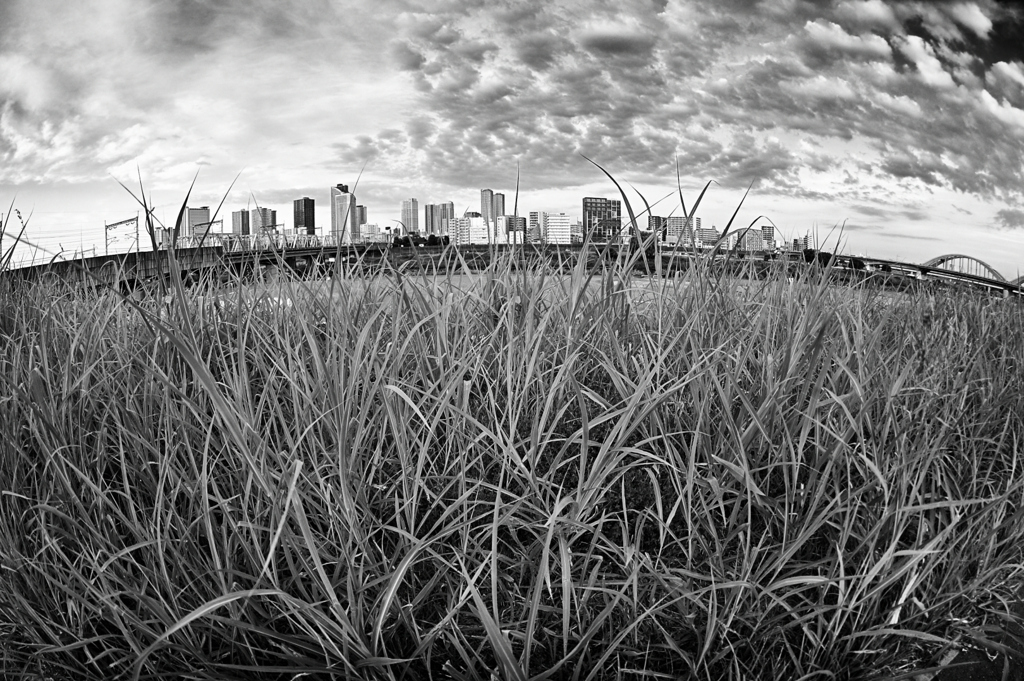 2025-08-18_0049