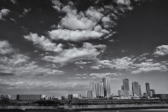 土手からの眺め