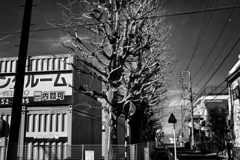 2023-01-12_0003
