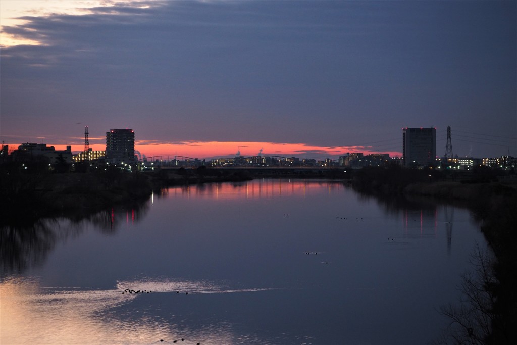 多摩川 黎明