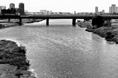 2024-10-21_0072