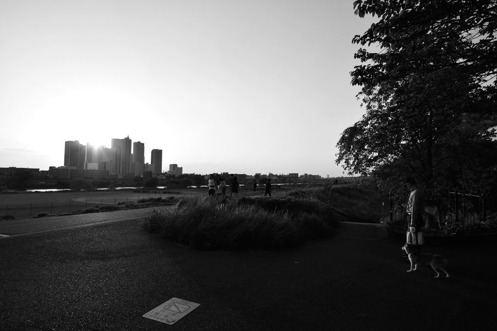 夕方の多摩川土手①