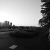 夕方の多摩川土手①