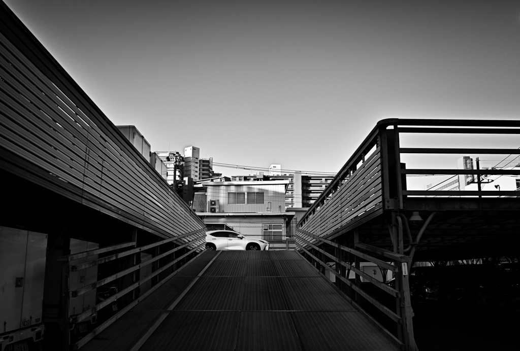 2024-03-10_5111