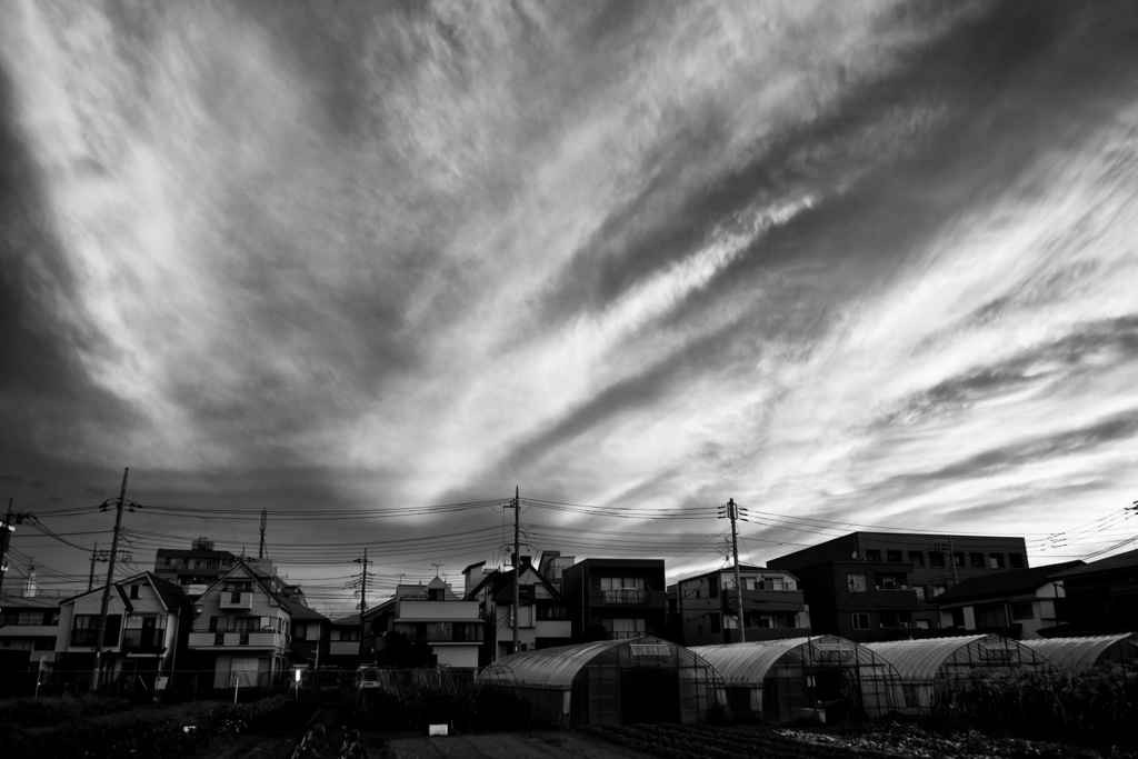 2022-07-09_0004